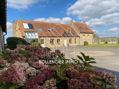 /international/fr/steene-calais-120095681585/