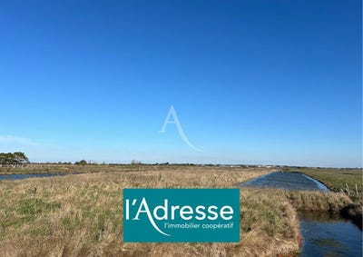 /international/fr/beauvoir-sur-mer-pays-de-la-loire-310104464825/
