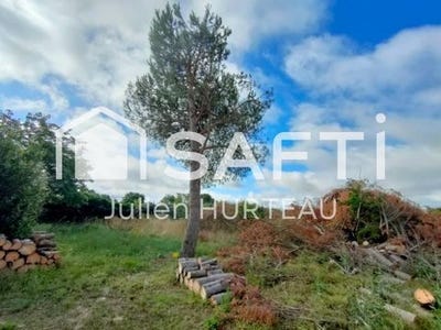 /international/fr/vouille-charente-310107863411/