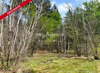 /international/fr/trelissac-aquitaine-310105820829/