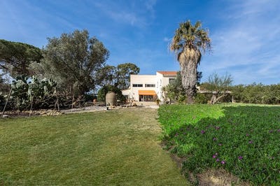 /international/fr/perpignan-languedoc-roussillon-120093294172/
