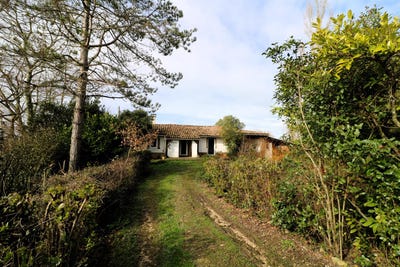 /international/fr/lombez-midi-pyrenees-310105628248/