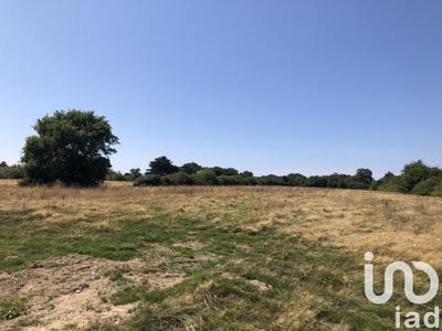 /international/fr/guerande-pays-de-la-loire-310101416726/