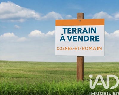 /international/fr/cosnes-et-romain-lorraine-310108557134/