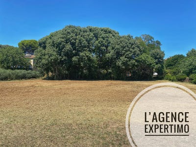 /international/fr/uchaux-provence-alpes-cote-d-azur-310100577123/