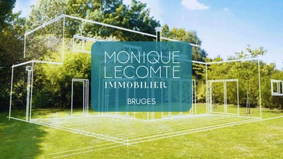 /international/fr/bruges-aquitaine-310093889558/