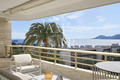/international/fr/cannes-provence-alpes-cote-d-azur-310101417049/