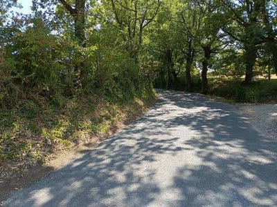 /international/fr/saix-midi-pyrenees-310105762202/