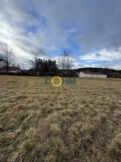 /international/fr/saint-pal-de-mons-auvergne-310105749366/