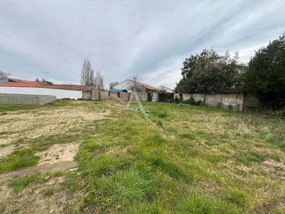 /international/fr/le-fenouiller-pays-de-la-loire-310104468773/