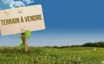 /international/fr/saint-aubin-sur-yonne-burgundy-120097563437/