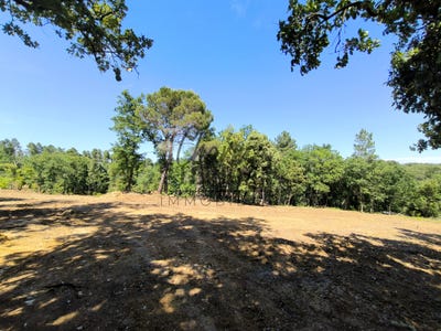 /international/fr/uzes-aquitaine-310104916847/