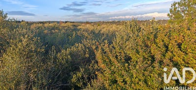 /international/fr/la-palme-languedoc-roussillon-310103614215/