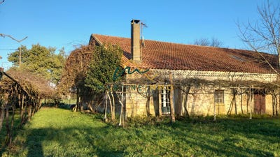 /international/fr/caumont-sur-garonne-aquitaine-310098891738/