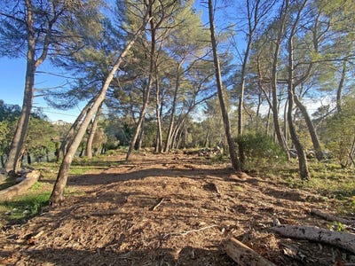 /international/fr/roquefort-les-pins-provence-alpes-cote-d-azur-120096623981/