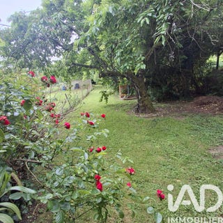 /international/fr/fronton-rhone-310108211196/