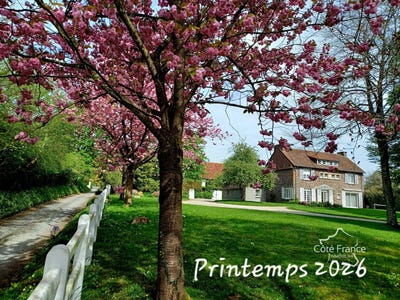 /international/fr/saint-pierre-de-semilly-la-basse-normandie-310108651485/