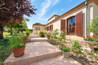 /international/fr/albi-midi-pyrenees-310110055226/