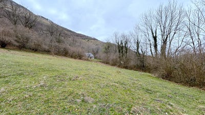 /international/fr/argeles-gazost-midi-pyrenees-310108793326/