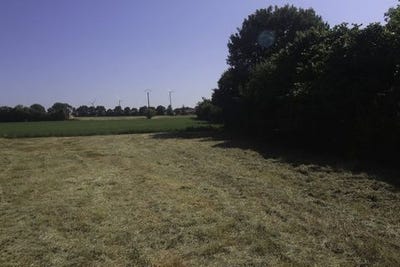 /international/fr/nachamps-charente-310100636980/?lang=en