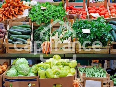 /international/fr/rennes-brittany-310101387686/?lang=zh-cn