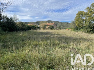 /international/fr/llauro-languedoc-roussillon-310105060283/