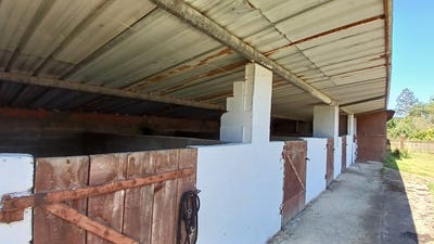 /international/fr/mimbaste-aquitaine-310107556004/