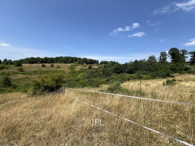 /international/fr/castelsarrasin-midi-pyrenees-310104935974/