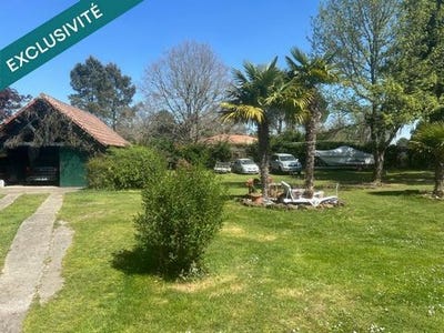 /international/fr/pissos-aquitaine-310099003283/