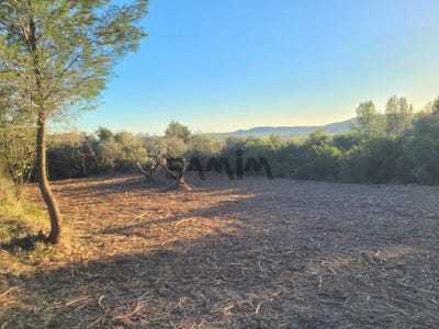 /international/fr/clarensac-languedoc-roussillon-310102704558/
