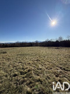 /international/fr/saint-gaudens-midi-pyrenees-310104860198/