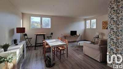 /international/fr/toulouse-midi-pyrenees-310097146167/