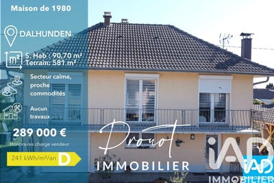 /international/fr/dalhunden-alsace-310107941652/
