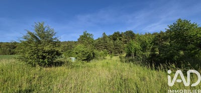 /international/fr/villedieu-centre-val-de-loire-310108785624/