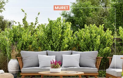 /international/fr/muret-rhone-310099806243/
