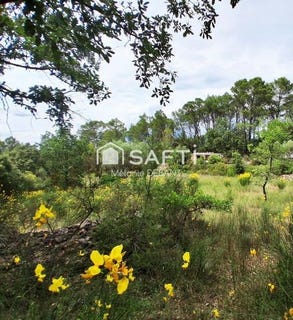 /international/fr/entrecasteaux-provence-alpes-cote-d-azur-310108779480/