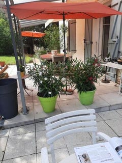 /international/fr/cheilly-les-maranges-burgundy-310107563998/