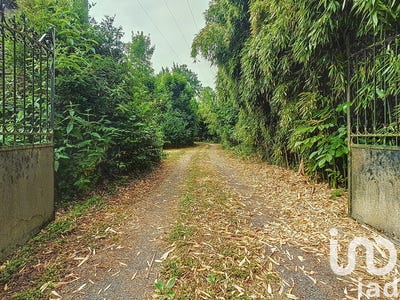 /international/fr/montargis-centre-val-de-loire-310100292802/