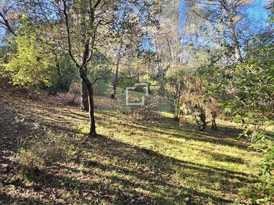 /international/fr/montferrier-sur-lez-languedoc-roussillon-310105350672/