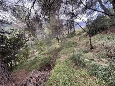 /international/fr/menton-provence-alpes-cote-d-azur-310108087968/