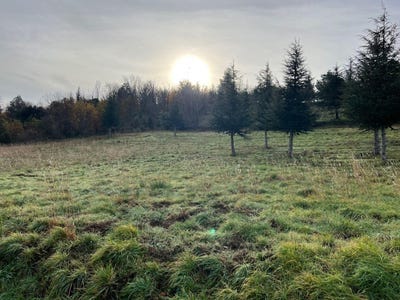 /international/fr/olargues-languedoc-roussillon-310108243373/