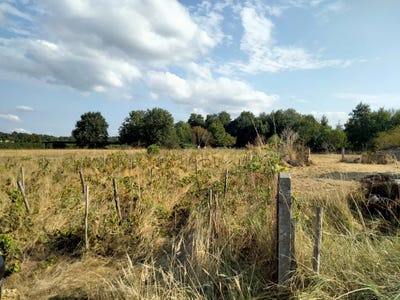 /international/fr/saint-ciers-sur-gironde-aquitaine-120095136162/