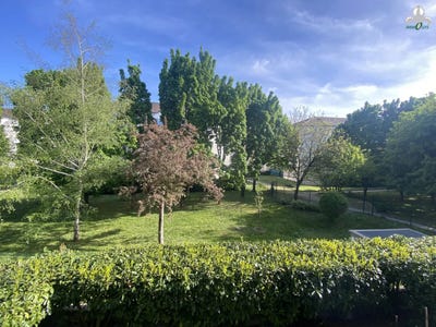 /international/fr/dijon-lorraine-310108376173/