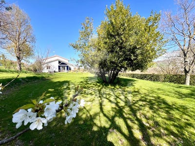 /international/fr/marges-rhone-120090042855/