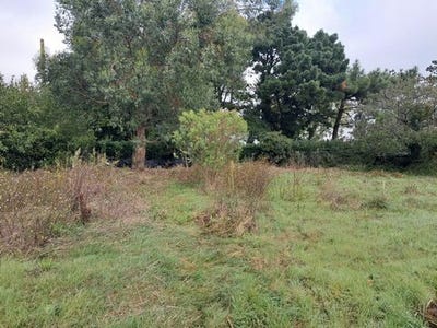 /international/fr/angles-pays-de-la-loire-310108972216/