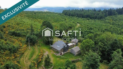 /international/fr/lacaune-midi-pyrenees-310108974353/