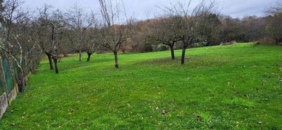 /international/fr/blois-centre-val-de-loire-310104843546/