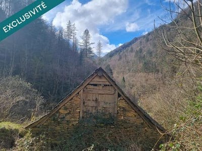 /international/fr/couflens-midi-pyrenees-310106463996/