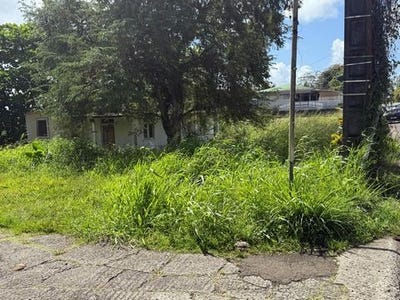 /international/fr/le-lamentin-aquitaine-310108841916/