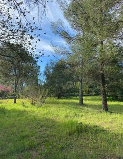 /international/fr/montferrier-sur-lez-languedoc-roussillon-310100015127/